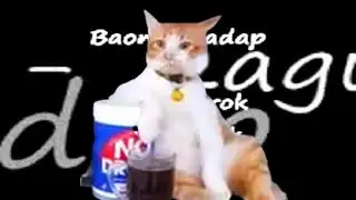 Write This Down x Baon Cikadap
