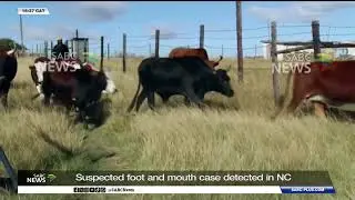 Red Meat Producers' Organisation concerned about FMD spread