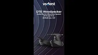 DTE Woodpecker Gutta Percha Obturation System(Fi-P and Fi-G)
