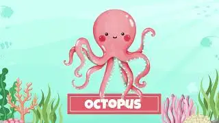 Learn Aquatic Animals for Kids | Water Animals Names | Tiny Wisdom