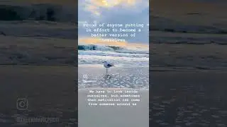 Inspirational Quote