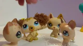 Le Lycée partie 1 vidéos Petshop