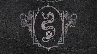 Tiigers - Octopus