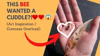 This Bee Wanted A Cuddle?! Art Inspiration Series Ep. 1