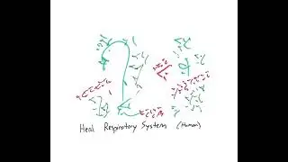 Light Language: Heal Respiratory System