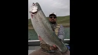 Big Trophy Rainbow Trout Whopper ! Fishing Los Vaqueros Reservoir California Trucha no Salmon