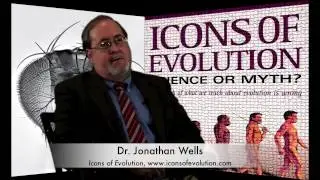 Icons of Evolution 10th Anniversary:  Four Winged Fruit Fly