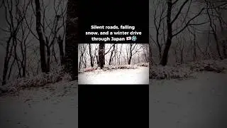 Cinematic Winter Drive in Japan ❄️ Snowfall Roads of Tsumagoi Mihara, Gunma Prefecture