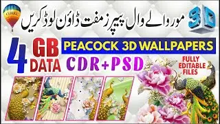 4GB Data 3D Peacock Wallpapers Cdr File & Psd File Free Download 2022 - Best Graphics 4U