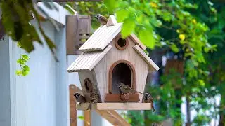 Turn old pallets into most amazing wooden bird house and bird feeder