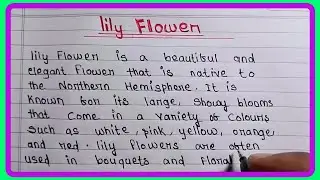 write a short note on lily flower | lily flower essay
