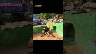 Travel Reel 122/180 Days Challenge #2025 #nature #travel #pahadi #uttarakhand