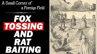 Rat Baiting and Fox Tossing || History of Bloodsports