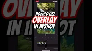 How to Use Overlay in InShot Like a Pro | Easy Video Editing Tutorial for Beginners (2025)