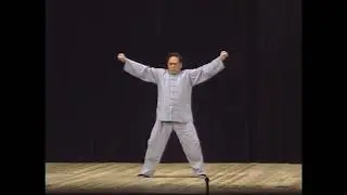 冯志强王凤鸣92年访日陈式太极拳表演最全收藏 Feng Zhiqiang Wang Fengming Chen Style Tai Chi performance during 1992 visit