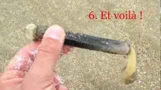 Comment p&ecirc;cher le couteau