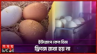 ডিম নিয়ে ইউরোপ আমেরিকায় ভিন্ন রীতি কেন? | Egg Storage | Food | Somoy Entertainment