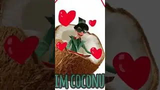 coconut onceler ☆ #thelorax #edit #coconut