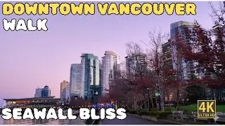 Vancouver City 🇨🇦 Walk 4K Robson Street, Stanley Park & Coal Harbour (ASMR)