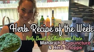 Herb Recipe of the Week: Holy Basil and Tropical Chickweed Pesto