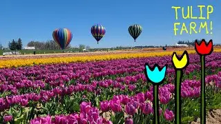 Inside Oregon's Wooden Shoe Tulip Farm (and the best time to visit!)