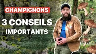 COMMENT TROUVER DES CHAMPIGNONS ?