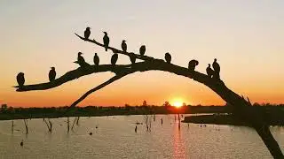 Lake Mulwala 