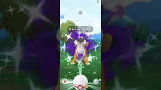 6/30 ✨️ Shiny Shadow Raikou from Raid Day #pokemomgo #pokemon #shorts #viral #fyp
