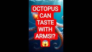 Did you know | Fun facts | Amazing facts | Science facts | Animal facts | Ocean facts | Weird facts