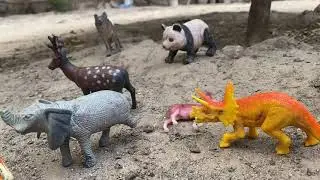 Finding animals in our Garden | Toddlers playing ideas