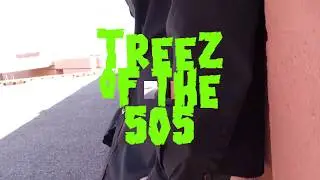 TreeZ of the 505 