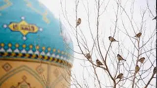 [Islamic Background Video No Copyright]&ndash; Mosque Footage