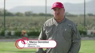 Inovation Day 𝗜𝗻𝗰𝗶𝗽𝗶𝗼®  Marco González