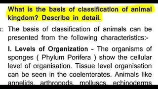 What is the basis of classification of animal kingdom? Describe in detail.