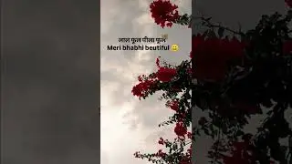 Bhabhi #bhabi #subscribe #love #shorts #songs #lovestatus #youtubeshorts