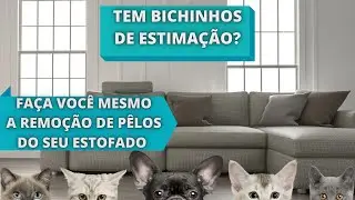 Como retirar pelos do seu pet do sof&aacute; -  Fa&ccedil;a voc&ecirc; mesmo - Dica f&aacute;cil