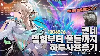 명조 린네 하루사용후기! 서포터부터 메인딜,명함부터 풀돌까지!