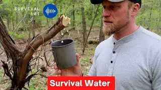 Finding Water In a Survival Situation: Vines for Survival Good or Bad?
