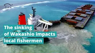 The sinking of Wakashio impacts local fishermen