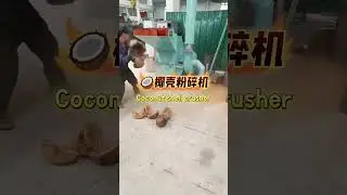 Still struggling with crushing coconut shells?#crusher  #machine #coconutshell #crush #Henansande
