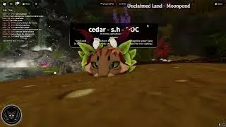 cedar goes nyooom