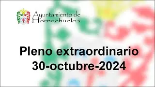 Pleno Extraordinario del 30 de octubre de 2024
