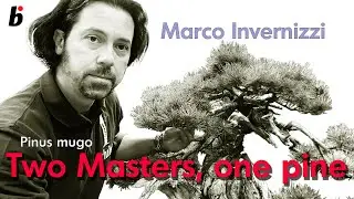 Two Masters, Analysing the mugo