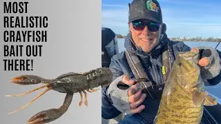 Most realistic Crawfish bait I ever seen!