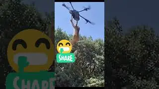Drone camera catch and flying monkey #short video
