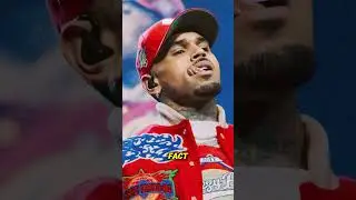 Chris Brown: Not Just a Music Star, but a Multitalented Artist