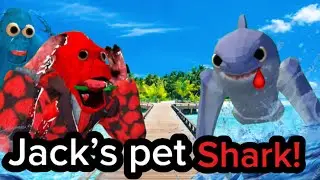 Jack&rsquo;s Pet SHARK! In Animal Company 