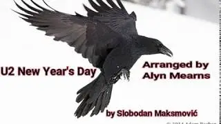 U2 New Year's Day - Arranged by Alyn Mearns, played by Slobodan Maksimović