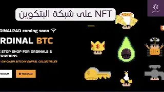 انطلاق مشاريع nft على البتكوين ORDINAL BTC