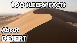 Why Deserts Are So Calm | 100 Desert Facts to Fall Asleep To